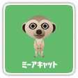 ミーアキャッツの画像
