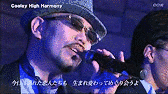 COOLEY HIGH HARMONYの画像