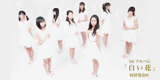 KISSBEEの画像