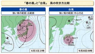 春の嵐の画像