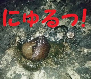 ガッシー救出作戦の画像