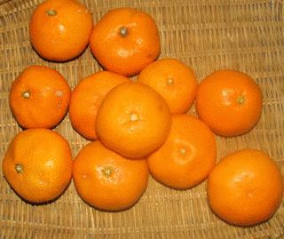 蜜柑の画像