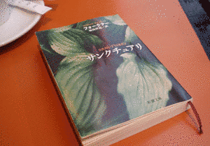 1931年の小説の画像