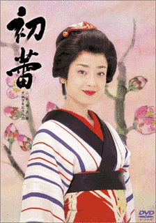 初蕾の画像