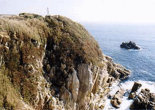 足摺岬の画像