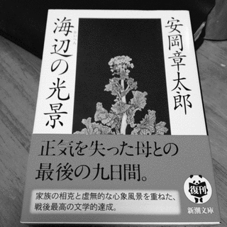 海辺の光景の画像