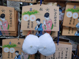 紀ノ川の画像