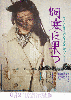 阿寒に果つの画像