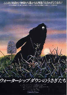 ウォーターシップ・ダウンのうさぎたちの画像