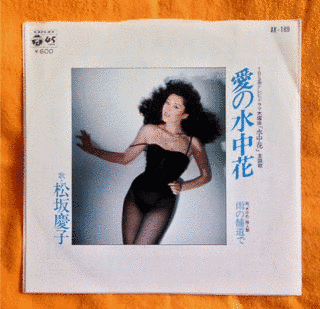 水中花の画像