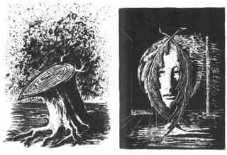 鏡の中の悪魔の画像