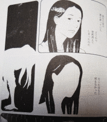 螢の画像