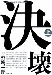 決壊の画像