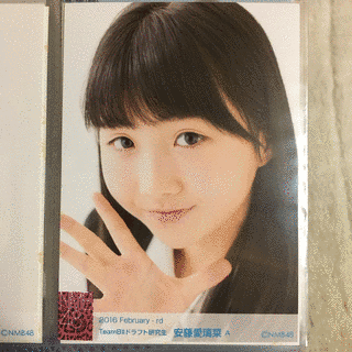 芽菜の画像