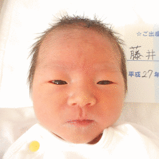 藤井静香の画像