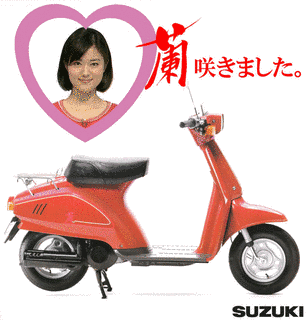 スズキ・蘭の画像