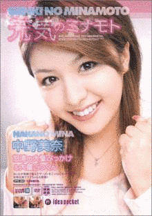 中野美奈の画像
