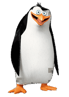 RICOの画像