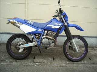 ヤマハ・TT250Rの画像