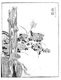 逆柱の画像