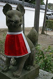 宗旦狐の画像