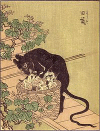 旧鼠の画像