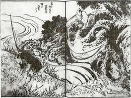 大蝦蟇の画像