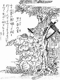古椿の霊の画像