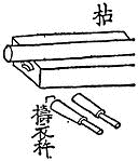 テンコロバシの画像