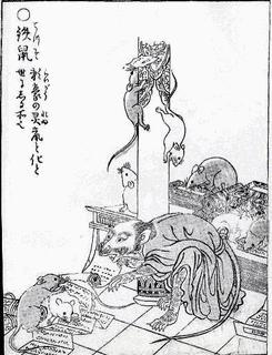 幽霊狸の画像