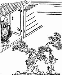 二龍松の画像