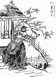 青坊主の画像