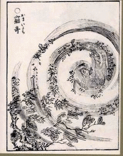 鎌鼬の画像