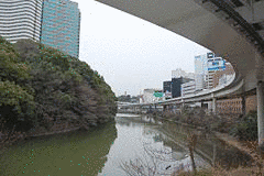 弁慶堀の河太郎の画像