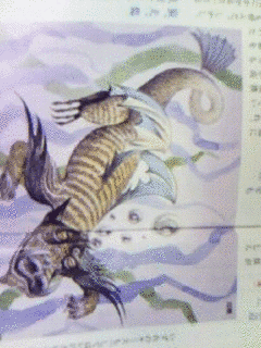 川熊の画像