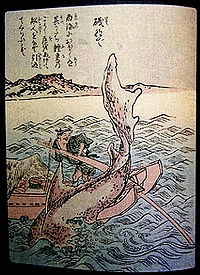 磯撫での画像