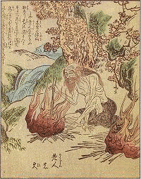 老人火の画像