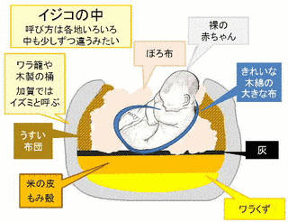 イジコの画像