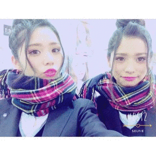 川猿の画像