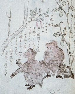 ケンムンの画像