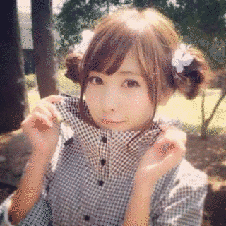 秋野花の画像