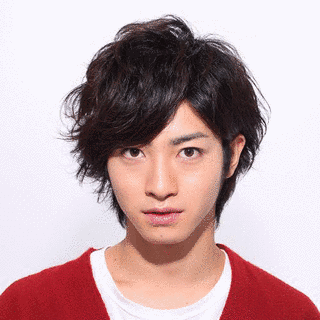 木村達成の画像