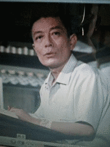 山茶花究の画像