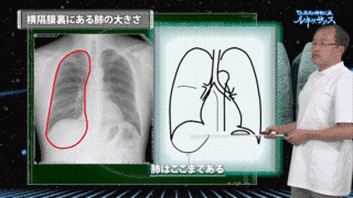 安室脩星の画像