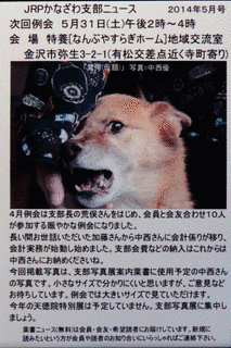 日本リアリズム写真集団の画像