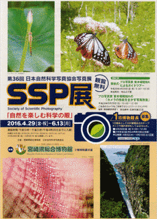 日本自然科学写真協会の画像