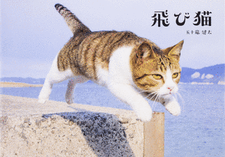 五十嵐健太の画像