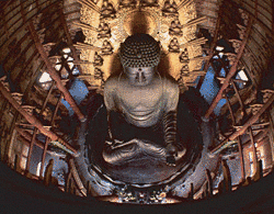 井上博道の画像