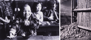 大束元の画像