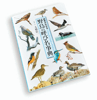 大橋弘一の画像